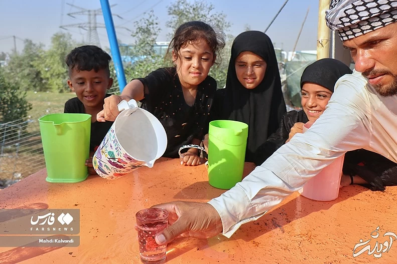 (تصاویر) بفرما «مای بارِدْ»